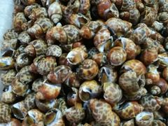 -青石桥市场北1-27号