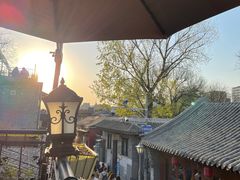 -Sirena海妖日咖夜酒