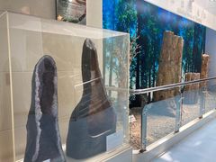 -延庆地质公园博物馆