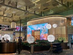 -樟宜机场免税店
