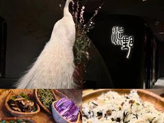 -滇野云南野生菌餐厅(陕西南路店)