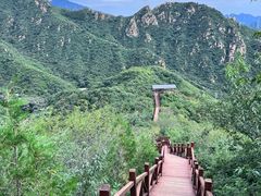 -大岭沟猕猴桃谷风景区