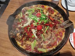 -老板恋上鱼(恒隆广场店)