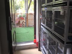 -圣宠宠物(平吉花卉市场店)