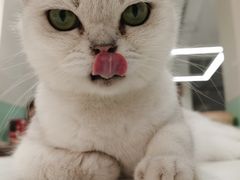 -怪兽屋·羊驼·猫咖·狗咖(俊华广场店)