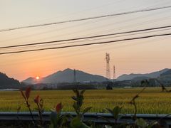 -李东农庄(中南百草园地标店)