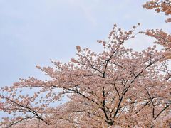 -苏州上方山国家森林公园