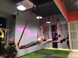 -桃秘钢管舞 Peach Pole Fitness