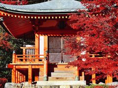 -醍醐寺