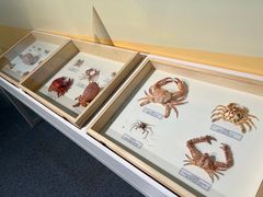 -中国湿地博物馆