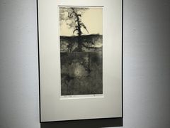 -南京书画院金陵美术馆