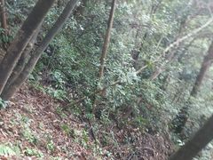 -北高峰