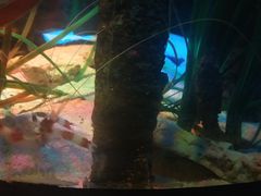 -沈阳海洋探索中心