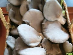 -老员外骨汤火锅(海州古城店)