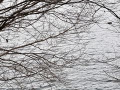 -雷波马湖风景区