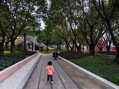 -文华公园(禅城区)