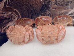 -雍容荟活波龙自助餐(IFS黑金店)