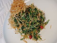 巧拌豆苗-四季民福烤鸭店(王府井灯市口店)