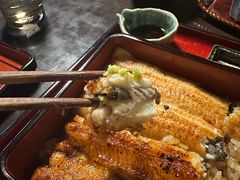 -料亭菊水楼