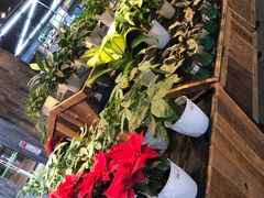 -果蔬好生活超市(乐堤港店)