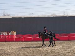 -北京群众马术培训基地