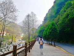 -陕西省红河谷森林公园