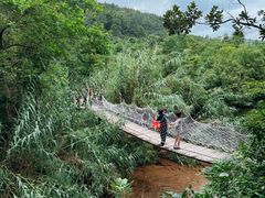 -茶人谷-东海大峡谷