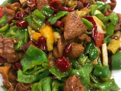 尖椒肥肠-瑜瑜饭馆