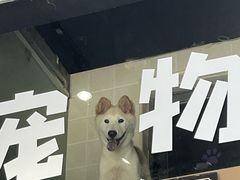 -汤姆宠物(长青北路店)