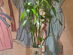 -青水瓦台汤泉(新华店)