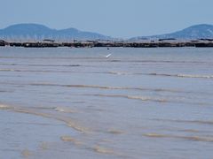 -北岐滩涂