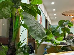 -臻品汇-镇江菜-河豚(大润发店)