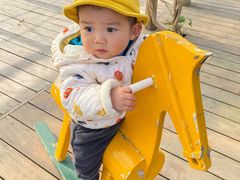 -前小桔亲子创意农场·草莓采摘·露营烧烤
