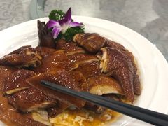 -六婶西关小厨(光塔路店)
