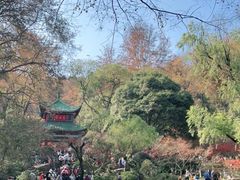 -岳麓山风景名胜区