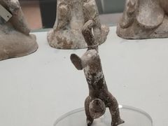 -安阳博物馆