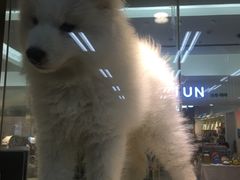 -乐宠宠物店(世纪金源店)