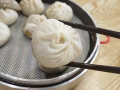 -桐香园小笼包(百井坊巷店)