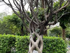 -广州神农草堂中医药博物馆
