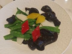 -大树餐厅(益田假日店)