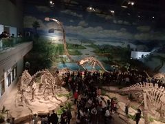 -自贡恐龙博物馆