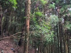 -井冈山风景名胜区-黄洋界