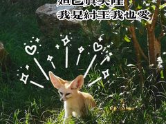 -杭州野生动物世界