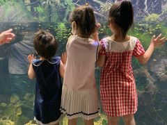 -华夏文旅海洋公园