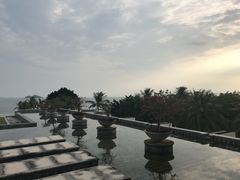 -采粤轩中餐厅(惠州金海湾喜来登度假酒店)