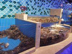 水产区-乔哥铭洋海鲜自助(皇城恒隆广场店)