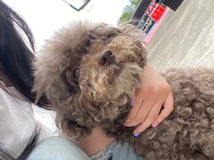 -爱侣宠医·鹦鹉专科·小型哺乳类·异宠专科(灵石路店)