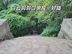 -惠山国家森林公园