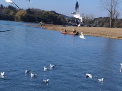 -渤公岛生态公园