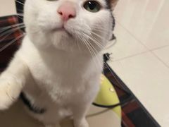 -苏州大学独墅湖校区-第5食堂